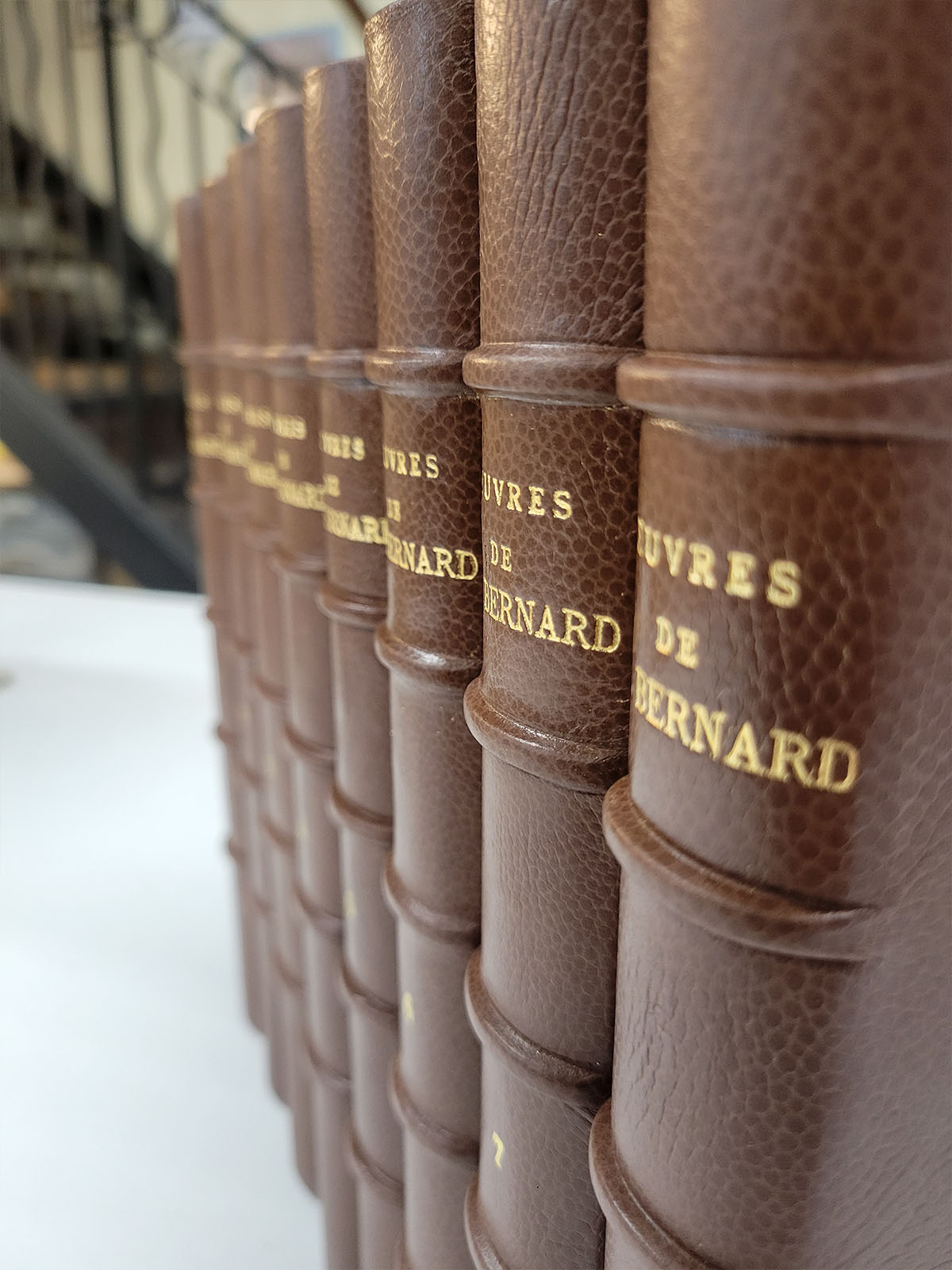 S&eacute;rie de reliures en cuir avec des nerfs et dorures &agrave; l'or fin.